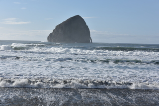 Filename=DSC_1037.JPG
Filesize=20991KiB
Dimensions=7360x4912
Date added=Dec 30, 2019 DSC_1037.JPG