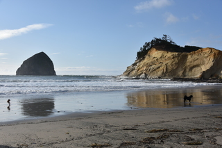 Filename=DSC_1051.JPG
Filesize=19015KiB
Dimensions=7360x4912
Date added=Dec 30, 2019 DSC_1051.JPG