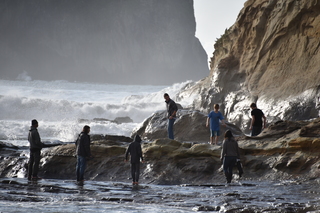 Filename=DSC_1054.JPG
Filesize=18290KiB
Dimensions=7360x4912
Date added=Dec 30, 2019 DSC_1054.JPG