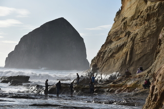 Filename=DSC_1055.JPG
Filesize=19333KiB
Dimensions=7360x4912
Date added=Dec 30, 2019 DSC_1055.JPG