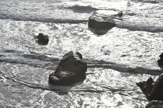 Filename=DSC_1066.JPG
Filesize=25505KiB
Dimensions=7360x4912
Date added=Dec 30, 2019 DSC_1066.JPG