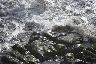 Filename=DSC_1069.JPG
Filesize=20808KiB
Dimensions=7360x4912
Date added=Dec 30, 2019 DSC_1069.JPG