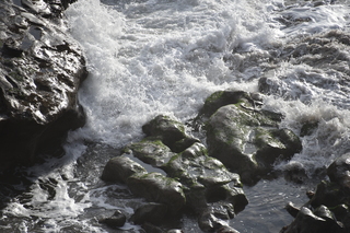 Filename=DSC_1070.JPG
Filesize=20772KiB
Dimensions=7360x4912
Date added=Dec 30, 2019 DSC_1070.JPG