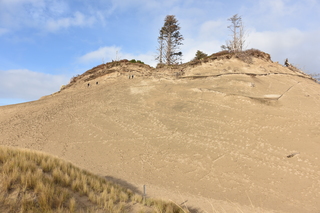 Filename=DSC_1078.JPG
Filesize=21022KiB
Dimensions=7360x4912
Date added=Dec 30, 2019 DSC_1078.JPG