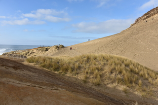 Filename=DSC_1079.JPG
Filesize=20902KiB
Dimensions=7360x4912
Date added=Dec 30, 2019 DSC_1079.JPG