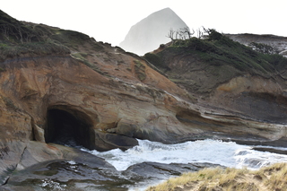 Filename=DSC_1109.JPG
Filesize=18632KiB
Dimensions=7360x4912
Date added=Dec 30, 2019 DSC_1109.JPG