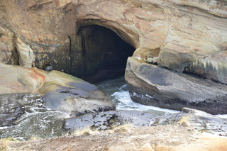 Filename=DSC_1113.JPG
Filesize=20655KiB
Dimensions=7360x4912
Date added=Dec 30, 2019 DSC_1113.JPG