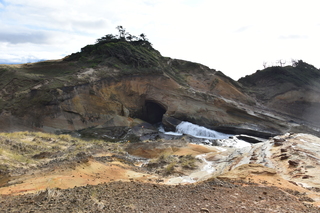 Filename=DSC_1117.JPG
Filesize=20219KiB
Dimensions=7360x4912
Date added=Dec 30, 2019 DSC_1117.JPG