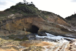 Filename=DSC_1127.JPG
Filesize=19077KiB
Dimensions=7360x4912
Date added=Dec 30, 2019 DSC_1127.JPG