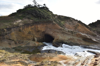 Filename=DSC_1130.JPG
Filesize=19160KiB
Dimensions=7360x4912
Date added=Dec 30, 2019 DSC_1130.JPG