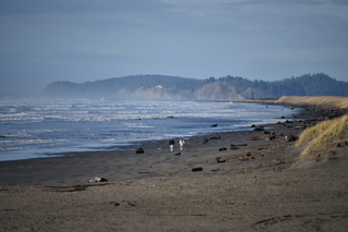 Filename=DSC_1151.JPG
Filesize=15915KiB
Dimensions=7360x4912
Date added=Dec 30, 2019 DSC_1151.JPG