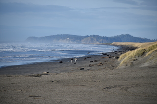 Filename=DSC_1152.JPG
Filesize=16768KiB
Dimensions=7360x4912
Date added=Dec 30, 2019 DSC_1152.JPG