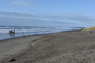 Filename=DSC_1153.JPG
Filesize=19219KiB
Dimensions=7360x4912
Date added=Dec 30, 2019 DSC_1153.JPG