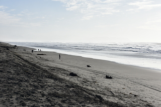 Filename=DSC_1156.JPG
Filesize=19318KiB
Dimensions=7360x4912
Date added=Dec 30, 2019 DSC_1156.JPG