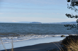 Filename=DSC_1160.JPG
Filesize=18886KiB
Dimensions=7360x4912
Date added=Dec 30, 2019 DSC_1160.JPG