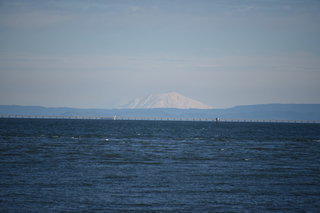 Filename=DSC_1161.JPG
Filesize=15372KiB
Dimensions=7360x4912
Date added=Dec 30, 2019 DSC_1161.JPG