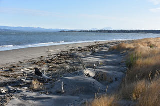 Filename=DSC_1165.JPG
Filesize=20149KiB
Dimensions=7360x4912
Date added=Dec 30, 2019 DSC_1165.JPG