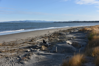 Filename=DSC_1169.JPG
Filesize=20477KiB
Dimensions=7360x4912
Date added=Dec 30, 2019 DSC_1169.JPG