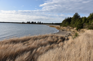 Filename=DSC_1172.JPG
Filesize=24980KiB
Dimensions=7360x4912
Date added=Dec 30, 2019 DSC_1172.JPG