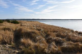 Filename=DSC_1173.JPG
Filesize=23389KiB
Dimensions=7360x4912
Date added=Dec 30, 2019 DSC_1173.JPG