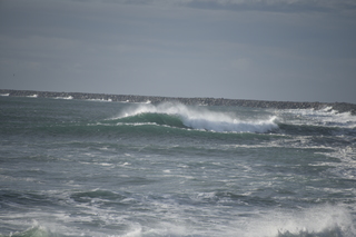 Filename=DSC_1179.JPG
Filesize=16034KiB
Dimensions=7360x4912
Date added=Dec 30, 2019 DSC_1179.JPG