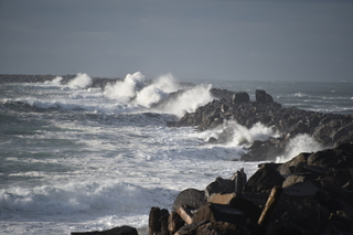 Filename=DSC_1183.JPG
Filesize=16264KiB
Dimensions=7360x4912
Date added=Dec 30, 2019 DSC_1183.JPG