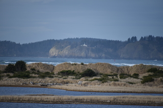 Filename=DSC_1187.JPG
Filesize=15720KiB
Dimensions=7360x4912
Date added=Dec 30, 2019 DSC_1187.JPG