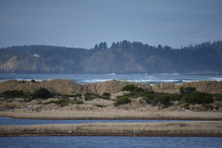 Filename=DSC_1188.JPG
Filesize=16129KiB
Dimensions=7360x4912
Date added=Dec 30, 2019 DSC_1188.JPG