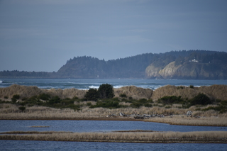 Filename=DSC_1189.JPG
Filesize=15923KiB
Dimensions=7360x4912
Date added=Dec 30, 2019 DSC_1189.JPG