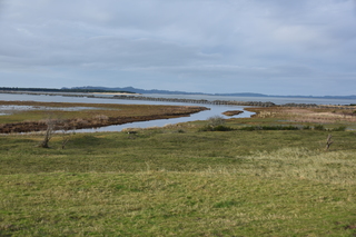 Filename=DSC_1221.JPG
Filesize=18366KiB
Dimensions=7360x4912
Date added=Dec 30, 2019 DSC_1221.JPG