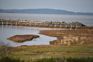 Filename=DSC_1223.JPG
Filesize=17287KiB
Dimensions=7360x4912
Date added=Dec 30, 2019 DSC_1223.JPG