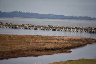 Filename=DSC_1224.JPG
Filesize=17055KiB
Dimensions=7360x4912
Date added=Dec 30, 2019 DSC_1224.JPG