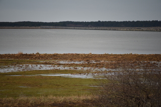 Filename=DSC_1225.JPG
Filesize=16403KiB
Dimensions=7360x4912
Date added=Dec 30, 2019 DSC_1225.JPG