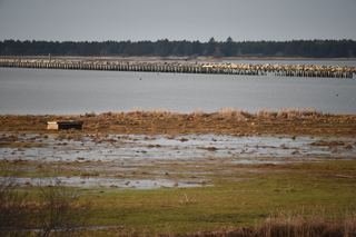 Filename=DSC_1226.JPG
Filesize=18056KiB
Dimensions=7360x4912
Date added=Dec 30, 2019 DSC_1226.JPG