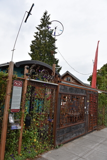 Filename=DSC_2781.JPG
Filesize=15295KiB
Dimensions=4912x7360
Date added=Sep 23, 2019 DSC_2781.JPG