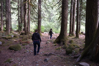 Filename=DSC_2797.JPG
Filesize=21441KiB
Dimensions=7360x4912
Date added=Sep 23, 2019 DSC_2797.JPG