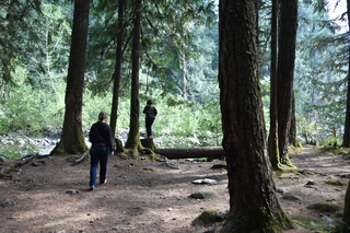 Filename=DSC_2798.JPG
Filesize=23619KiB
Dimensions=7360x4912
Date added=Sep 23, 2019 DSC_2798.JPG