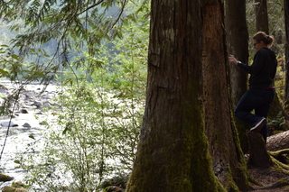 Filename=DSC_2801.JPG
Filesize=20046KiB
Dimensions=7360x4912
Date added=Sep 23, 2019 DSC_2801.JPG