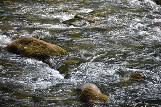 Filename=DSC_2803.JPG
Filesize=23818KiB
Dimensions=7360x4912
Date added=Sep 23, 2019 DSC_2803.JPG