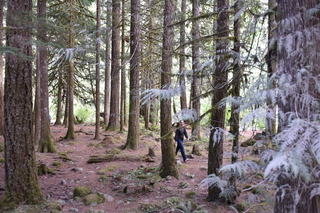 Filename=DSC_2805.JPG
Filesize=22296KiB
Dimensions=7360x4912
Date added=Sep 23, 2019 DSC_2805.JPG