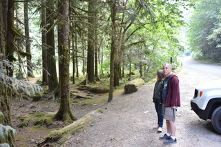 Filename=DSC_2806.JPG
Filesize=22164KiB
Dimensions=7360x4912
Date added=Sep 23, 2019 DSC_2806.JPG