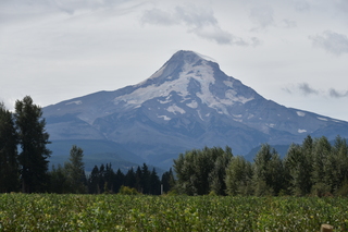 Filename=DSC_2808.JPG
Filesize=17542KiB
Dimensions=7360x4912
Date added=Sep 23, 2019 DSC_2808.JPG