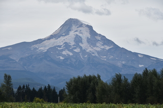 Filename=DSC_2811.JPG
Filesize=16248KiB
Dimensions=7360x4912
Date added=Sep 23, 2019 DSC_2811.JPG