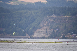 Filename=DSC_2832.JPG
Filesize=18515KiB
Dimensions=7360x4912
Date added=Sep 23, 2019 DSC_2832.JPG