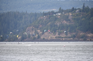 Filename=DSC_2836.JPG
Filesize=19037KiB
Dimensions=7360x4912
Date added=Sep 23, 2019 DSC_2836.JPG