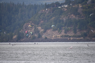 Filename=DSC_2838.JPG
Filesize=18596KiB
Dimensions=7360x4912
Date added=Sep 23, 2019 DSC_2838.JPG