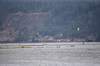 Filename=DSC_2840.JPG
Filesize=18808KiB
Dimensions=7360x4912
Date added=Sep 23, 2019 DSC_2840.JPG