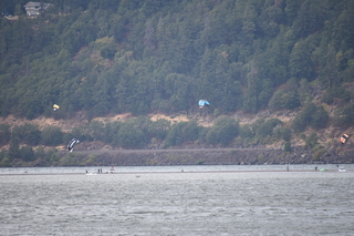 Filename=DSC_2843.JPG
Filesize=18925KiB
Dimensions=7360x4912
Date added=Sep 23, 2019 DSC_2843.JPG