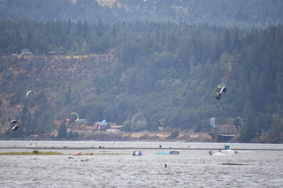 Filename=DSC_2848.JPG
Filesize=18635KiB
Dimensions=7360x4912
Date added=Sep 23, 2019 DSC_2848.JPG