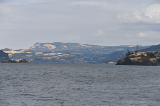 Filename=DSC_2855.JPG
Filesize=18562KiB
Dimensions=7360x4912
Date added=Sep 23, 2019 DSC_2855.JPG